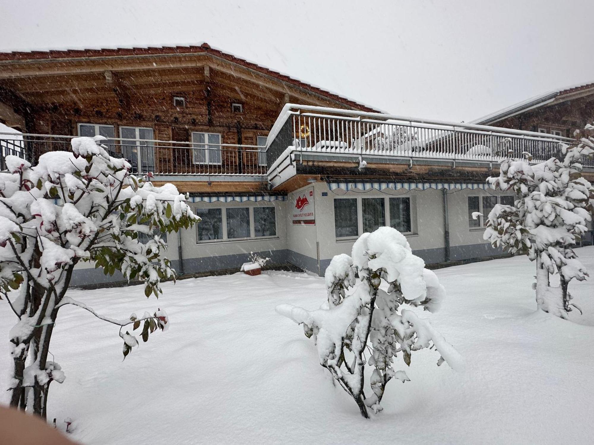 Swiss Chalet Holidays Ringgenberg Dış mekan fotoğraf